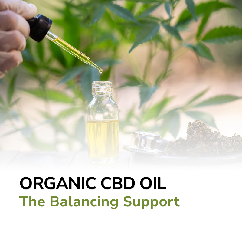 Ashleigh's Organics CBD 🌿Body Butter